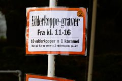 Halloweem-Birkegaardens-Haver-okt-24-abw-18-scaled