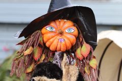 Halloweem-Birkegaardens-Haver-okt-24-abw-19-scaled