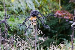 Halloweem-Birkegaardens-Haver-okt-24-abw-60-scaled