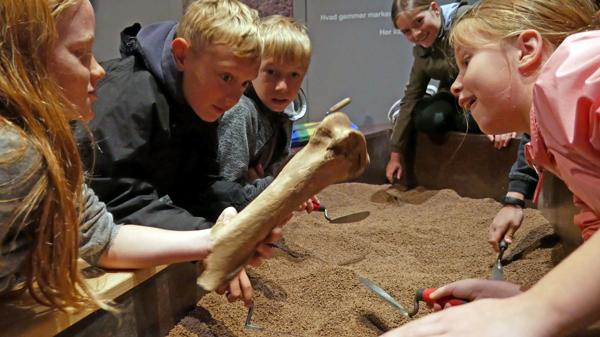 Kik ind i arkæologiens verden på Holbæk Museum
